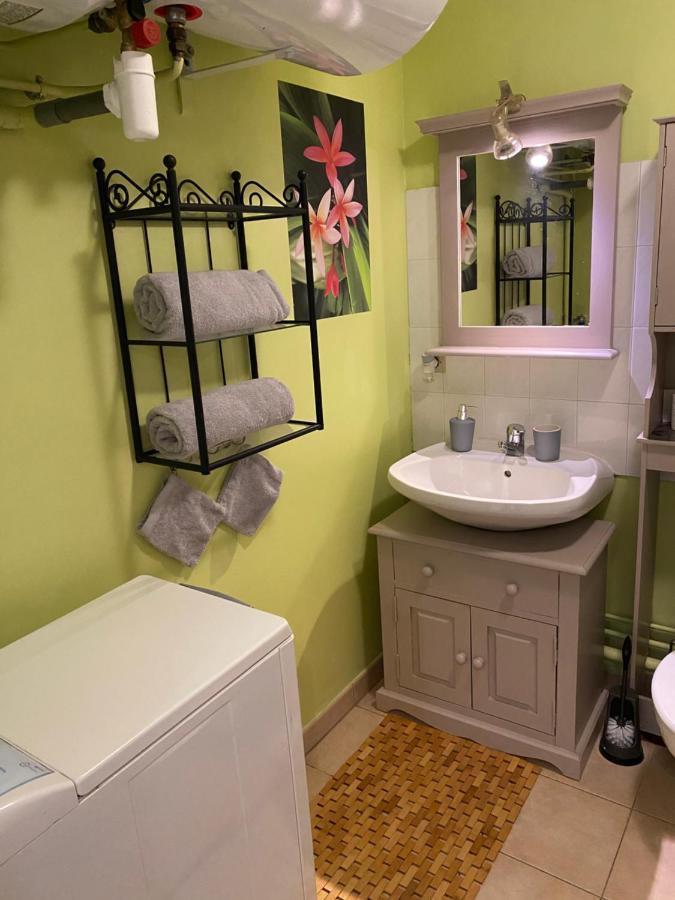 Appartement Cosy Avec Jardin Privatif Et Garage Fontainebleau Exterior foto
